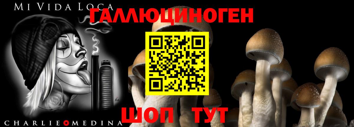 Галлюциногенные грибы GOLDEN TEACHER Губаха