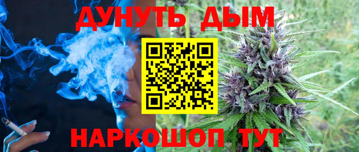 Губаха  Шишки марихуана план  Каннабис индика  Вход с VPN  Шишки марихуана сатива 